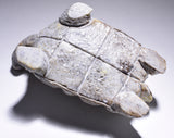 Picasso Marble Handcarved Turtle Fetish by Herbert Him 4D02L