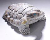 Picasso Marble Handcarved Turtle Fetish by Herbert Him 4D02L